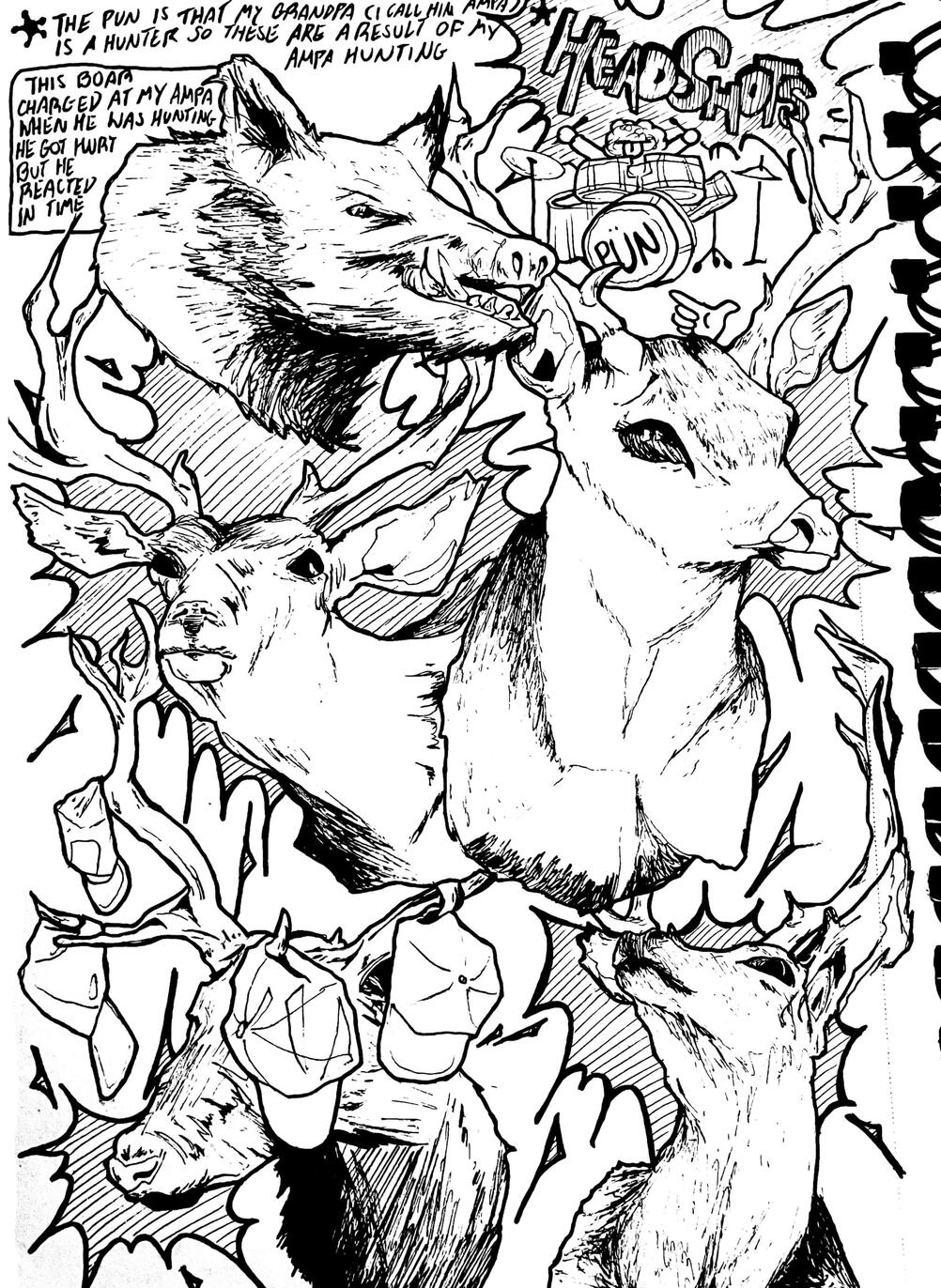 Taxidermy Study