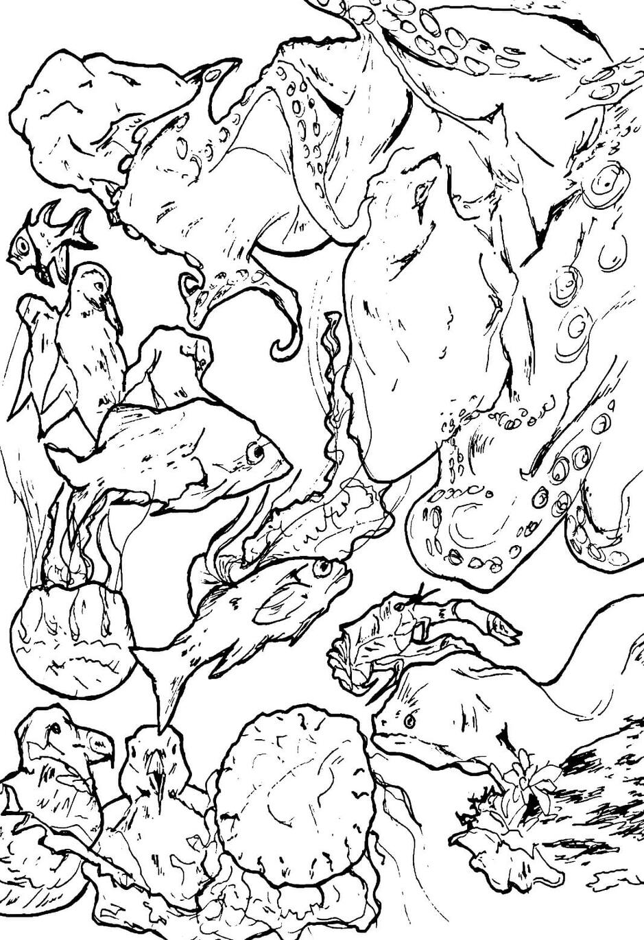 Life Drawing at the Monterey Bay Aquarium
