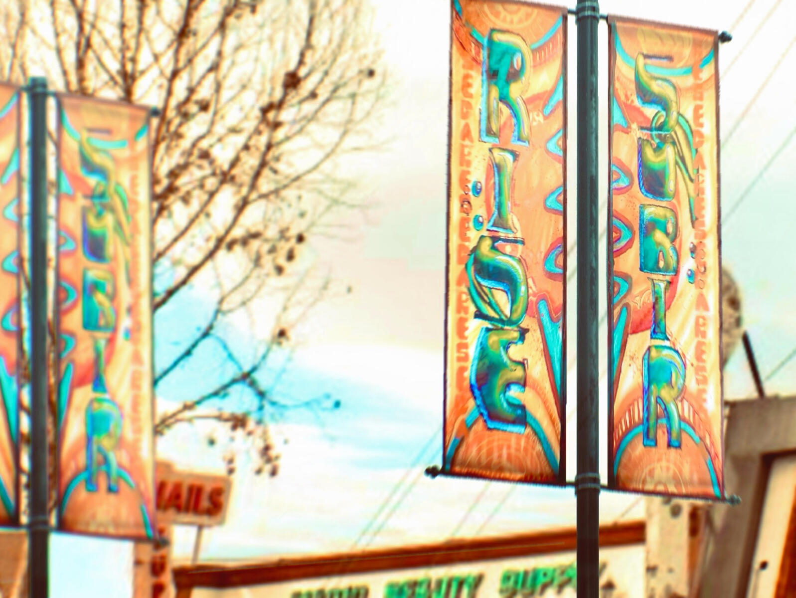 Brynna Ventura: The Artist's